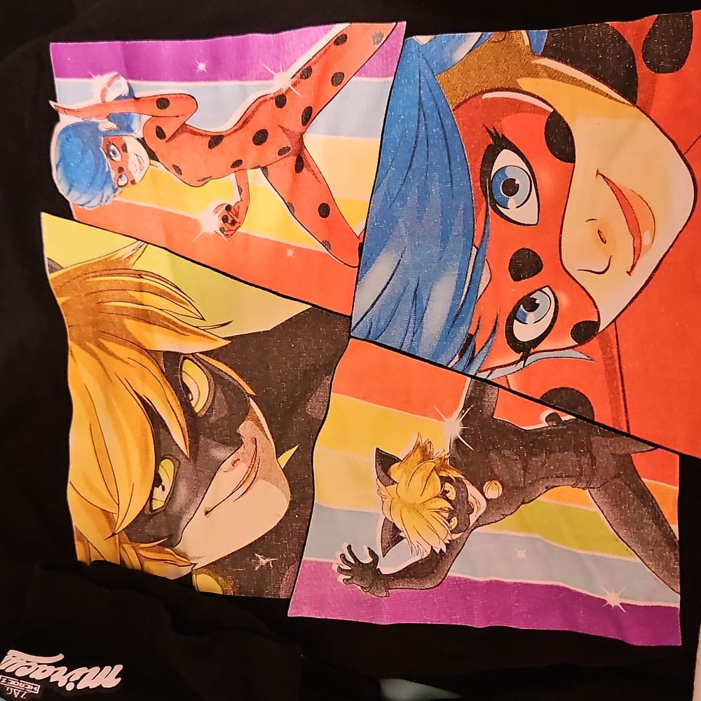 Miraculous Ladybug Lot